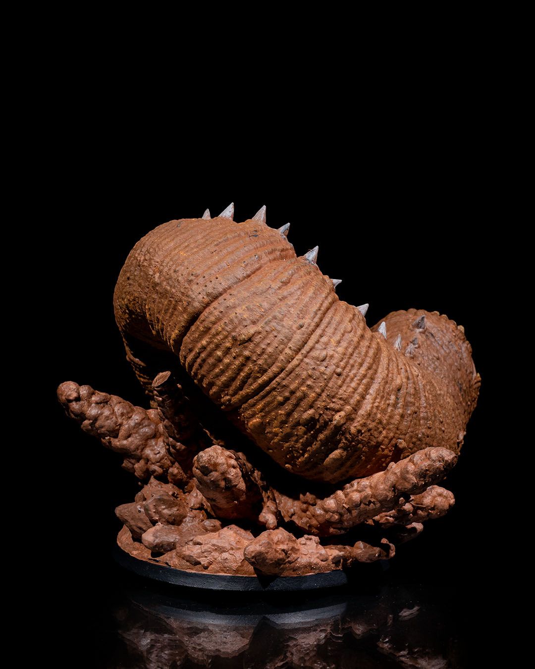 Sand Worm
